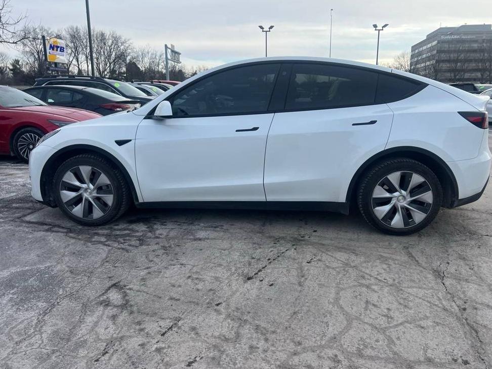 TESLA MODEL Y 2023 7SAYGDEE0PF607279 image